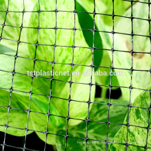 Papillon / insecte Fruit Cage Net Vegetable Plant Protection Couverture en plastique